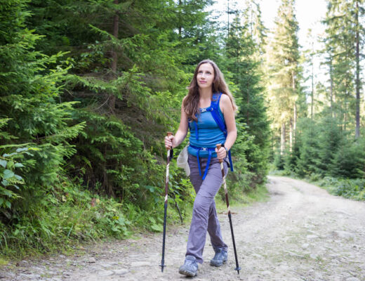 Ilustračný stock: trekové palice a zámok segmentu outdoor, bez loga